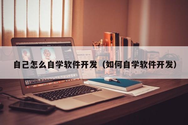 自学软件开发书籍_android开发自学书籍_自学软件开发的书籍